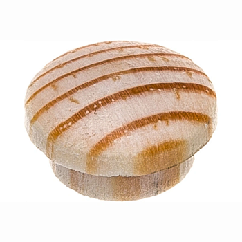 картинка Заглушка на отверстие ПРОФЕССИОНАЛ сфера D12мм сосна (30шт/уп) от магазина Пиломатериалы Чайковский